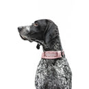 United Pets - Citylife - Collare eco con sottocollo imbottito