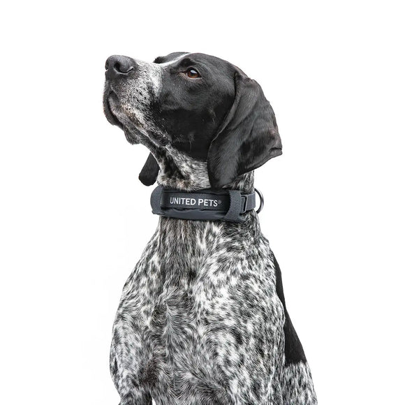 United Pets - Citylife - Collare eco con sottocollo imbottito