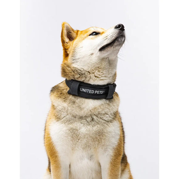 United Pets - Citylife - Collare eco con sottocollo imbottito