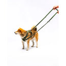 United Pets - Citylife - Guinzaglio da addestramento - Guinzagli