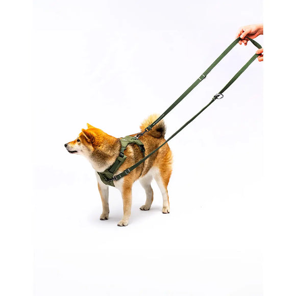 United Pets - Citylife - Guinzaglio da addestramento - Guinzagli