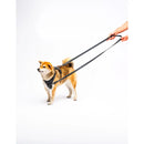 United Pets - Citylife - Guinzaglio da addestramento - Guinzagli