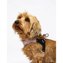 United Pets - Citylife - Pettorina aggancio rapido - Pettorine