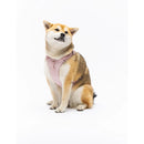 United Pets - Citylife - Pettorina soft - Pettorine