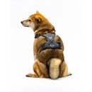 United Pets - Citylife - Pettorina soft - Pettorine