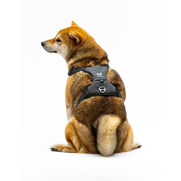 United Pets - Citylife - Pettorina soft - Pettorine