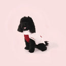 United Pets - Dolcevita Warmy Rosa e Rosso - 25 - Maglioncini