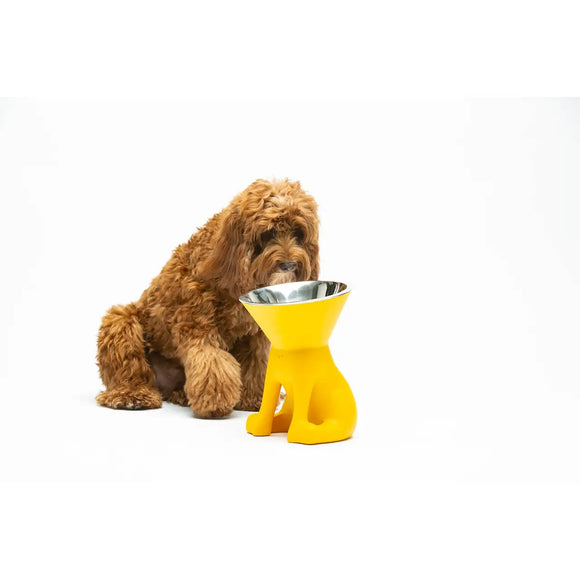 United Pets - Elizabeth - The Queen of Bowls - Ciotole