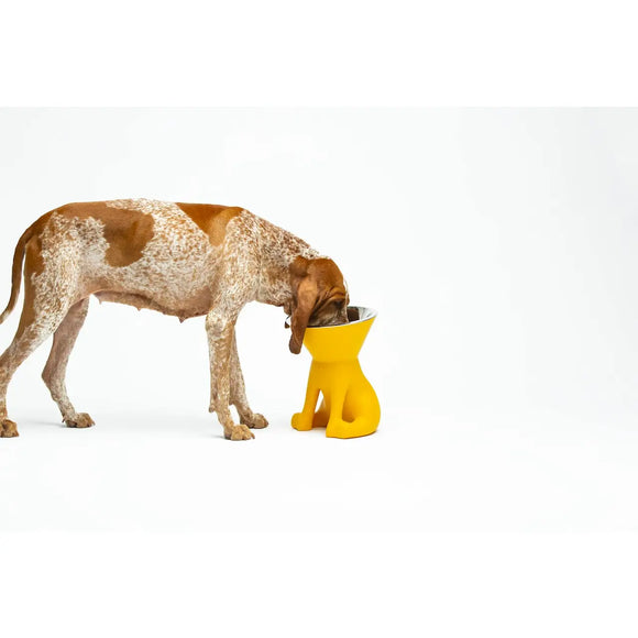 United Pets - Elizabeth - The Queen of Bowls - Ciotole