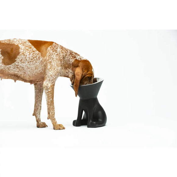 United Pets - Elizabeth - The Queen of Bowls - Ciotole