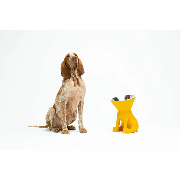 United Pets - Elizabeth - The Queen of Bowls - Ciotole