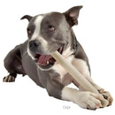 United Pets - MR. BRANCH - Gioco rametto in gomma per cani - Giochi