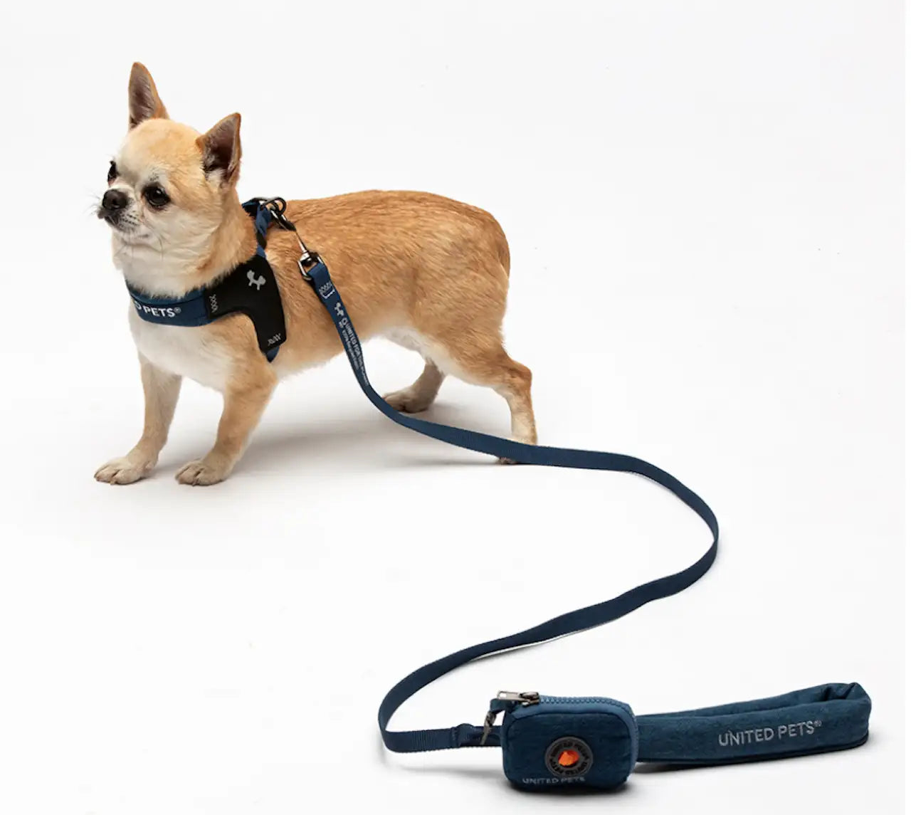 United Pets - Citylife - Pettorina aggancio rapido in Jeans