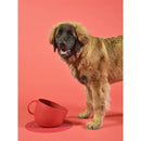 United Pets Set Tazza CUP 2500ml + Tappetino sottociotola - Ciotole