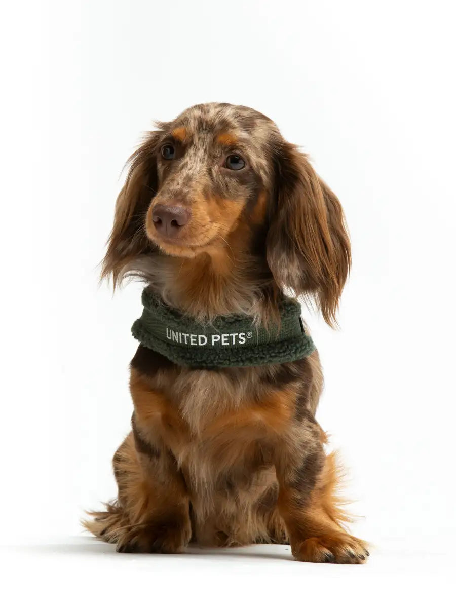 United Pets - Citylife - Plush quick-release harness