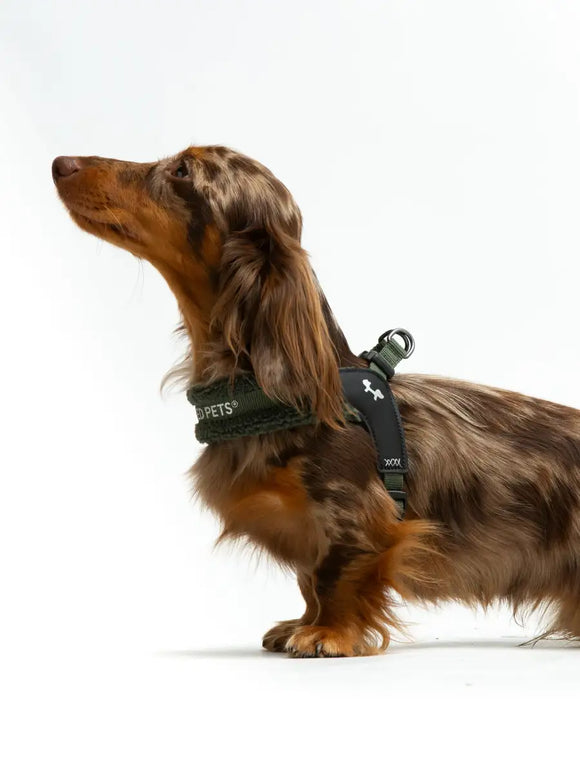 United Pets - Citylife - Plush quick-release harness