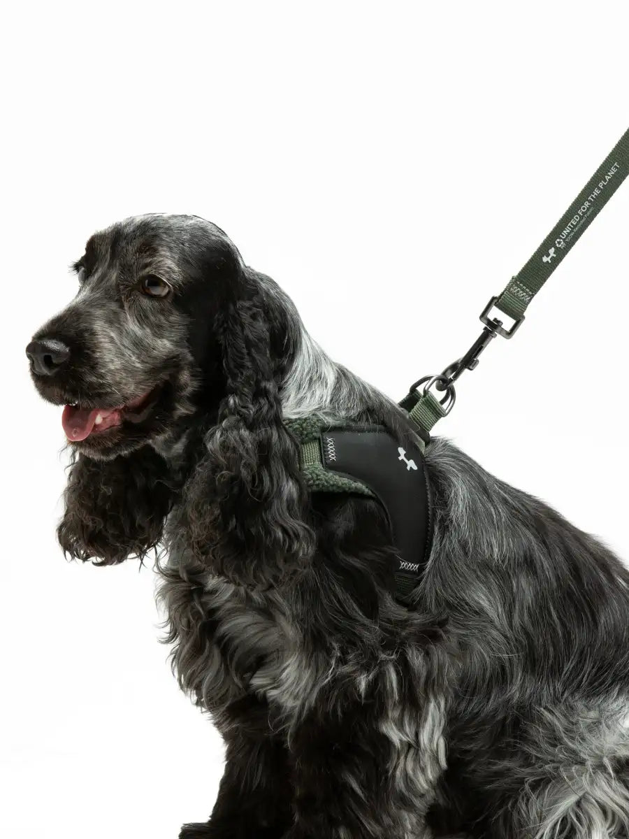 United Pets - Citylife - Plush quick-release harness