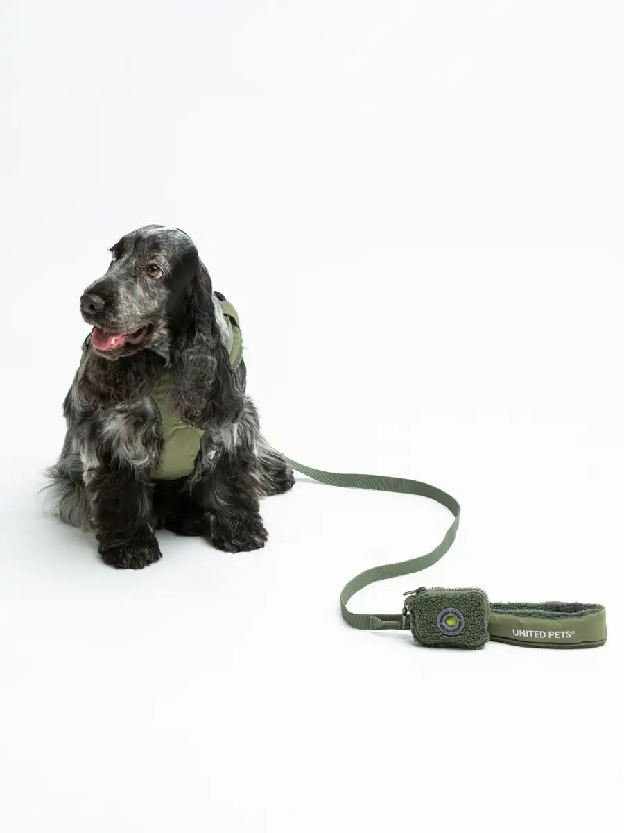 United Pets - CityLife Dispenser Plush