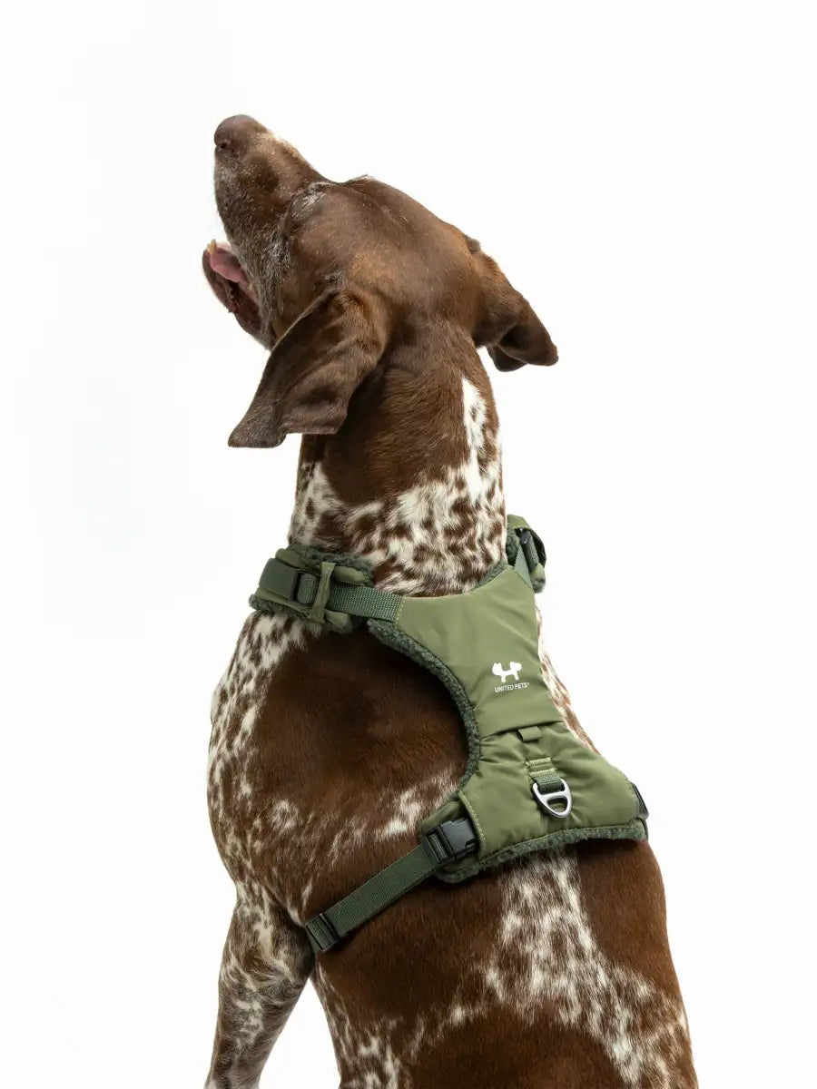 United Pets Citylife - Pettorina soft Plush