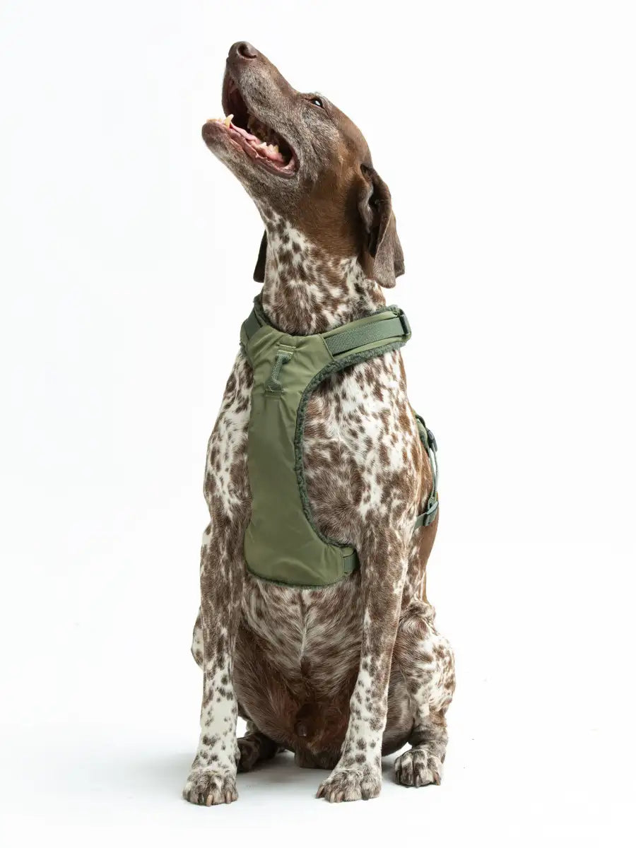 United Pets Citylife - Pettorina soft Plush