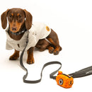 Save the Duck - Dispensador Pimpi-1