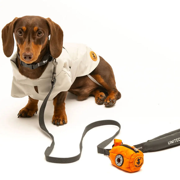 Save the Duck - Dispensador Pimpi