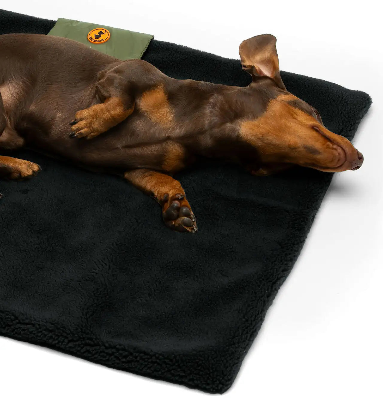 Save the Duck - Tragbare gepolsterte Decke für Hunde