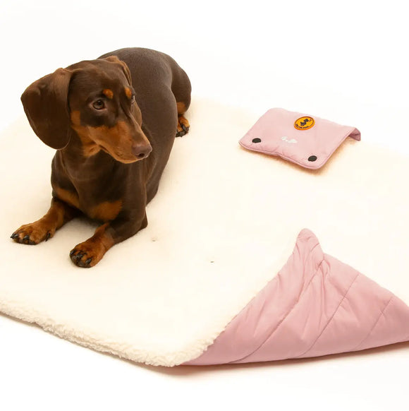 Save the Duck - Estudio portátil acolchado para perros