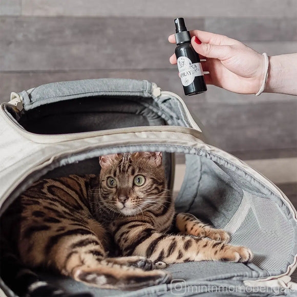 Ne&No® Baldrianspray für Katzen - 2er Set - Geschenkverpackung