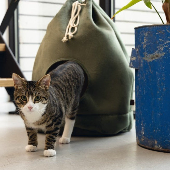 Pet Boutique - Designed By Lotte - Cat Home Vilar