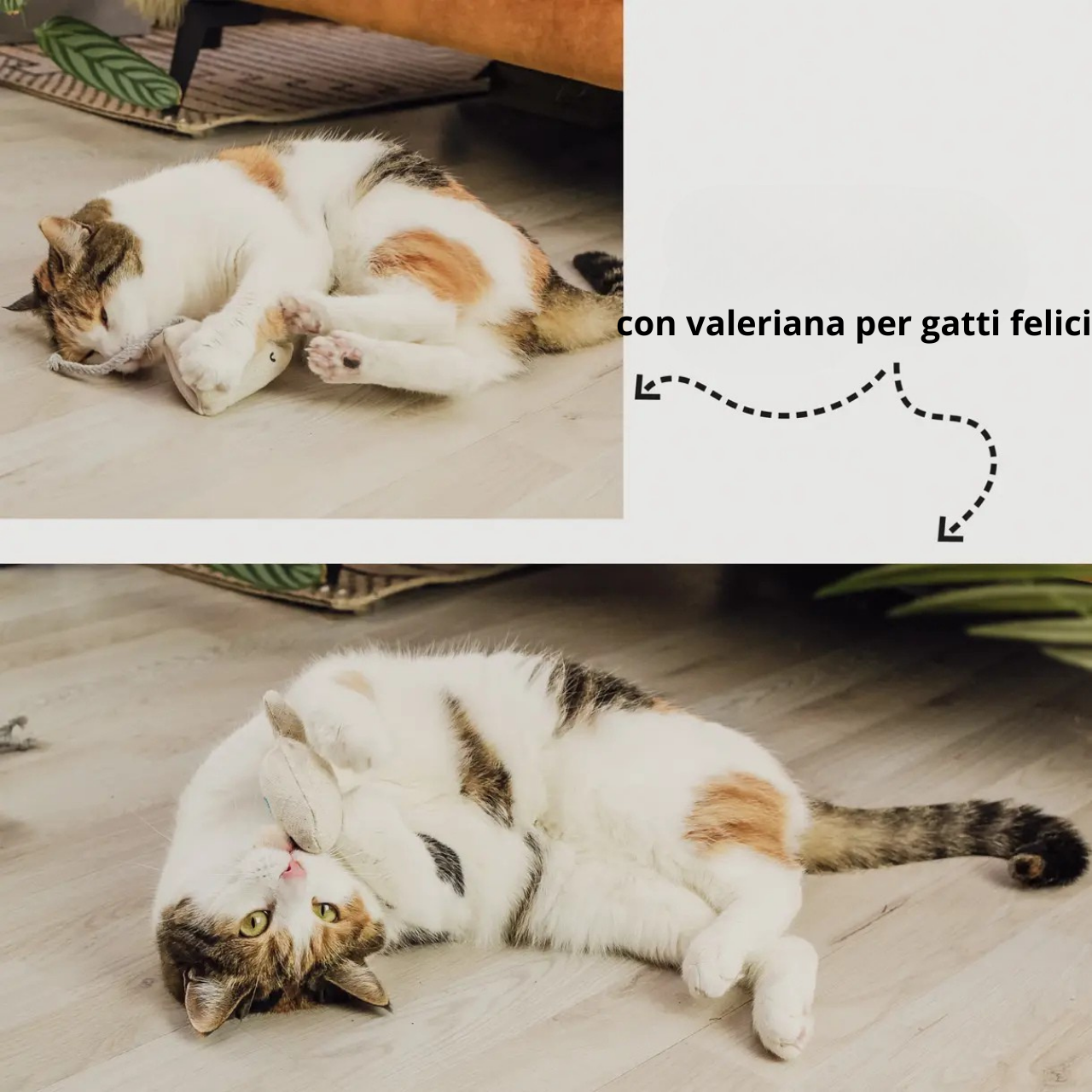 Ne&No - Giocattolo per gatti  Set 3 pupazzetti
