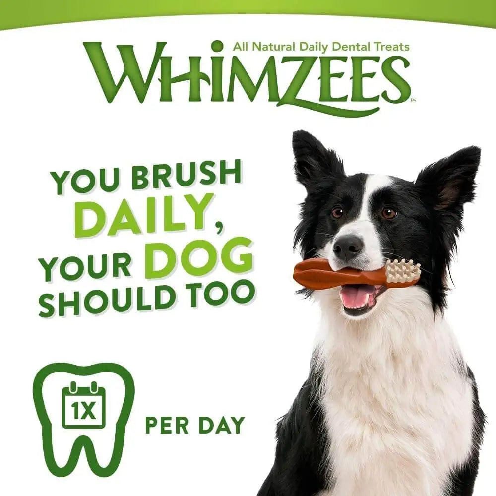 Whimzees Busta Spazzolino - Human Grade
