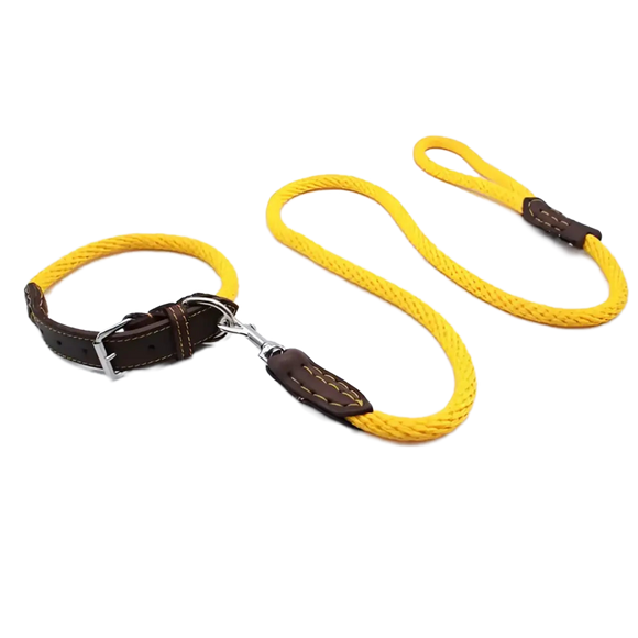 Sailing Line establecida en Corda Senape y Testa di moro