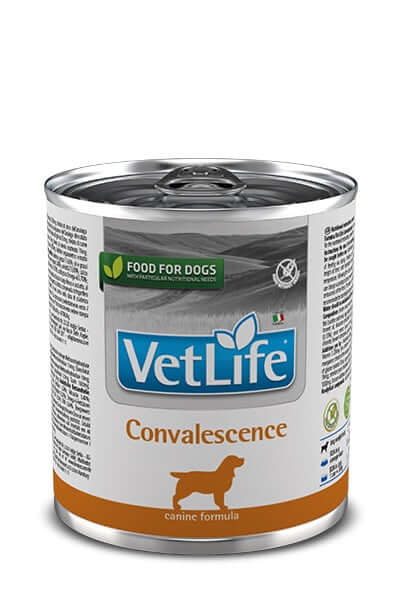 Pet Boutique - Vet Life Natural Wet DIET DOG CONVALESCENCE