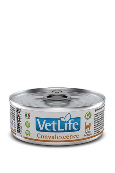 Pet Boutique - Vet Life Natural Wet DIET CAT CONVALESCENCE
