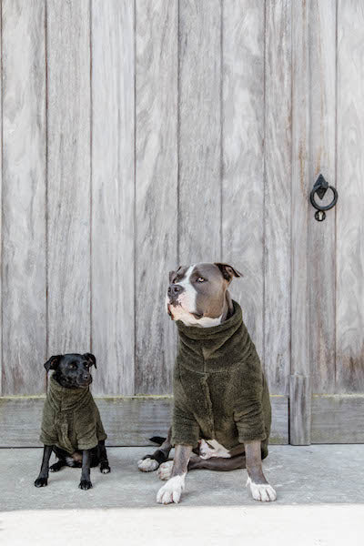Kentucky - Teddy Fleece Dog Sweater