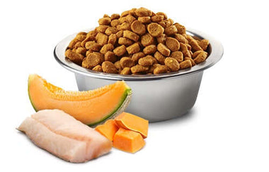 Pet Boutique - N&D Ocean Dog Merluzzo, Zucca e Melone puppy Medium/Maxi