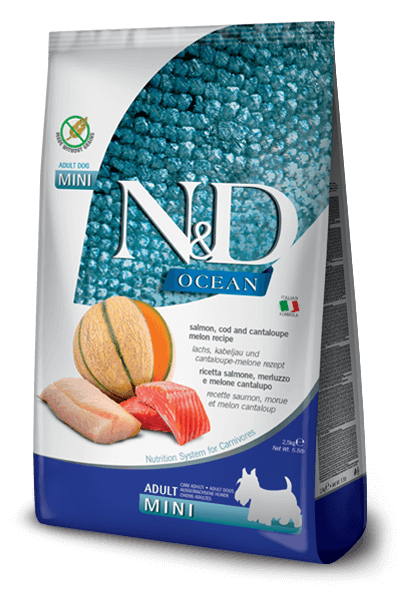 Pet Boutique - N&D Ocean Dog Salmone Merluzzo e Melone Mini