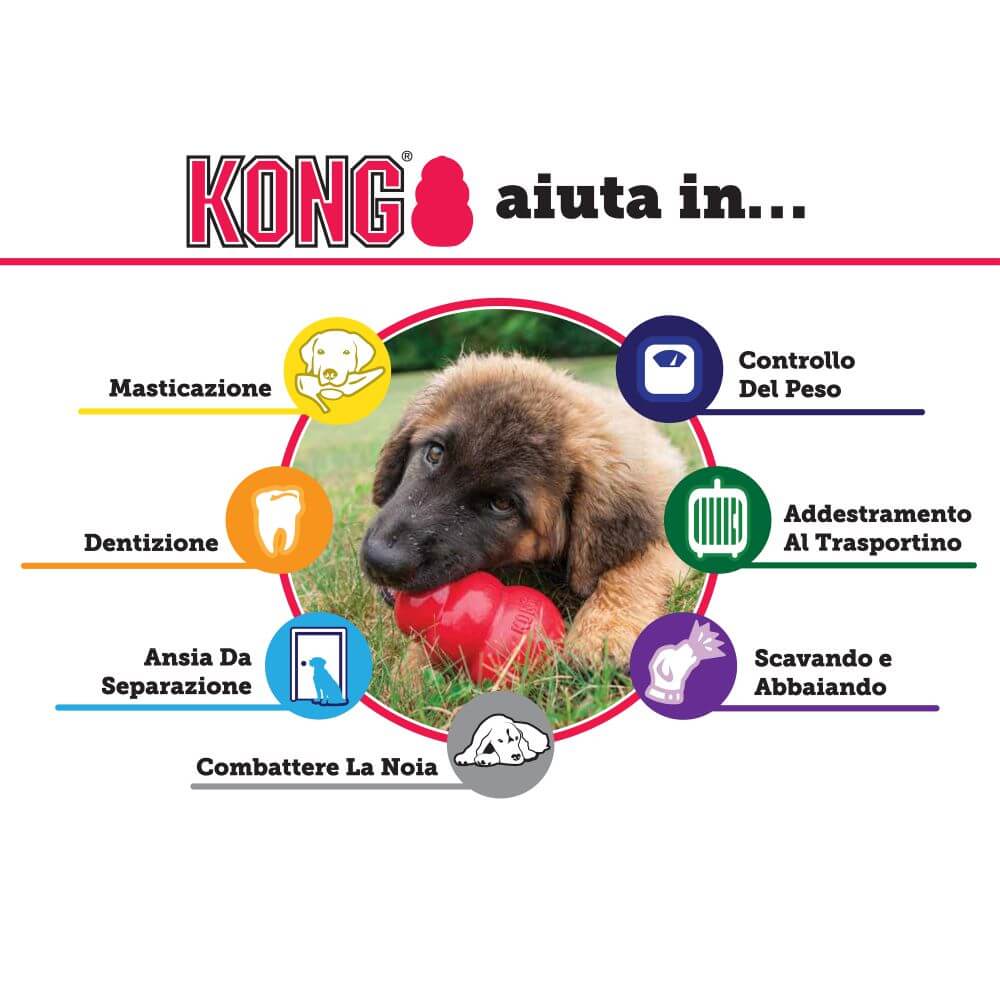 Pet Boutique - Kong Classic