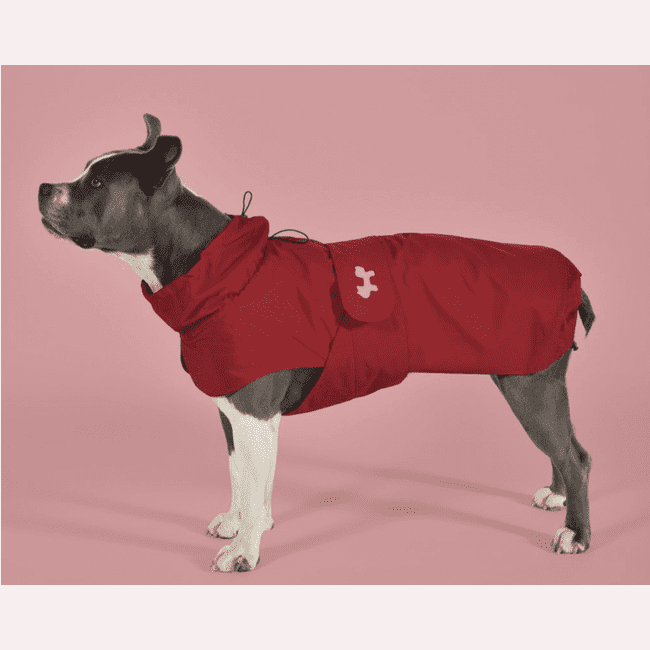 Pet Boutique - United Pets - Anti pioggia Easy Rain Rosso