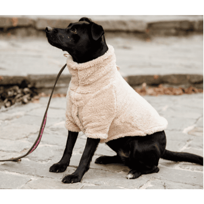 Kentucky - Teddy-Fleece-Hundepullover