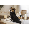 Pet Boutique- Kentucky - Accappatoio per cani
