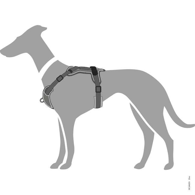 Divo Grey Harnesses