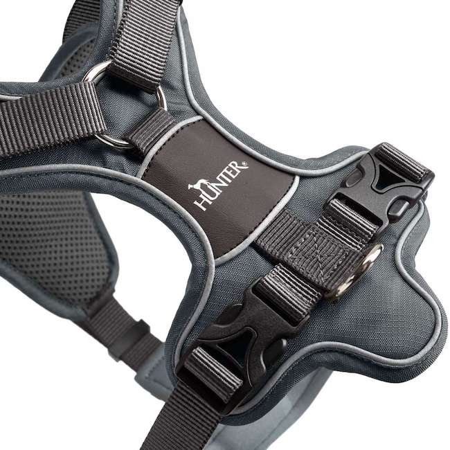 Divo Grey Harnesses