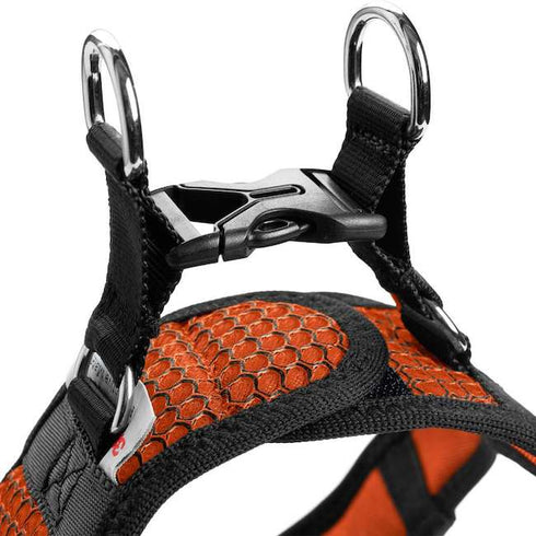 Hilo Orange harnesses with reflective edges
