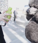 Pet Boutique - United Pets LEAF - Dispenser acqua da Viaggio in silicone