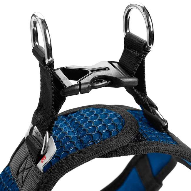 Hilo Blue harnesses with reflective edges