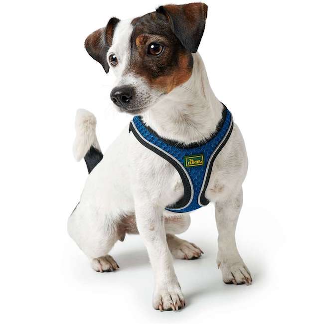 Hilo Blue harnesses with reflective edges