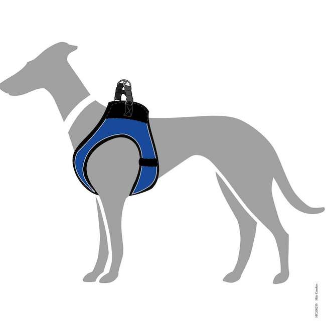 Hilo Blue harnesses with reflective edges