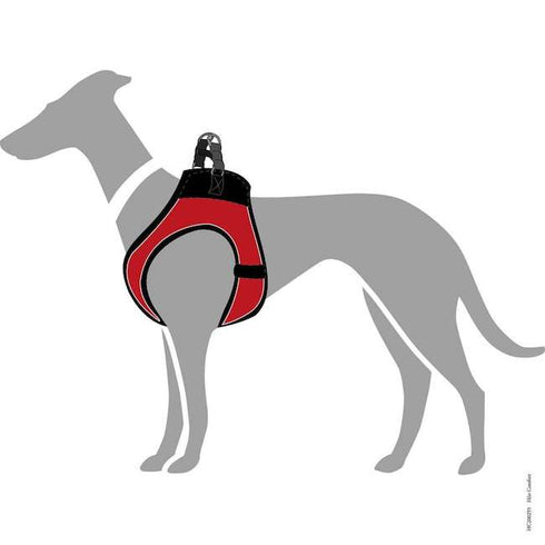 Hilo Red harnesses with reflective edges